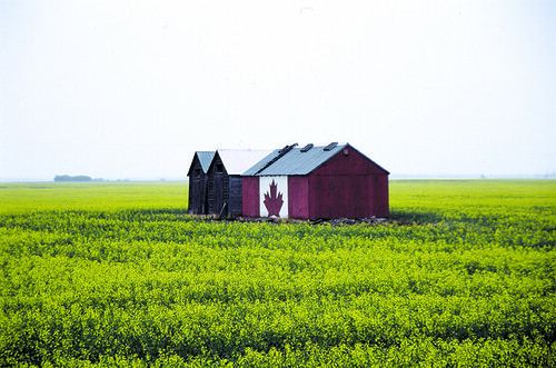 Happy Canada Day!