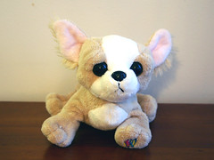 Is Webkinz the next Facebook?