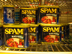 The Spammers tried to take over my Wikis