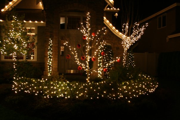November 29, 2008